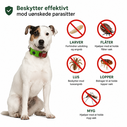 Flåtstop – Beskyttelse, der holder sæson efter sæso